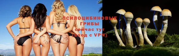 трава Липки