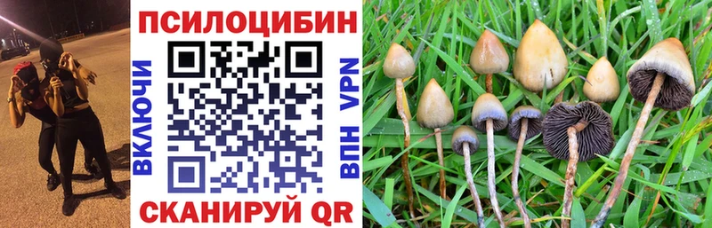 Галлюциногенные грибы Cubensis  купить   Моздок 