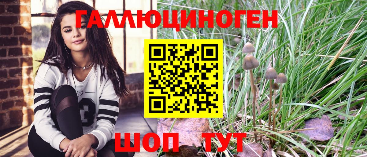 Галлюциногенные грибы мухоморы  Моздок  Псилоцибиновые грибы прущие грибы 